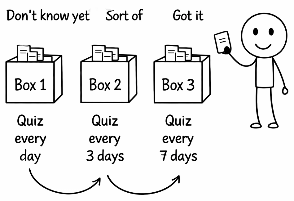 Leitner system boxes